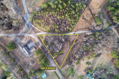 0 Lot 1 Sartain Rd unit 25-437, Dennis, MS 38838 - photo 2