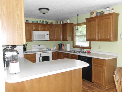 Kitchen v 1