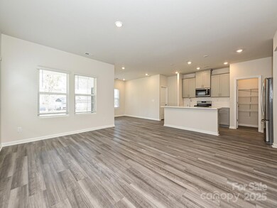 716 Palmer Pendleton Way, York, SC 29745 - photo 3