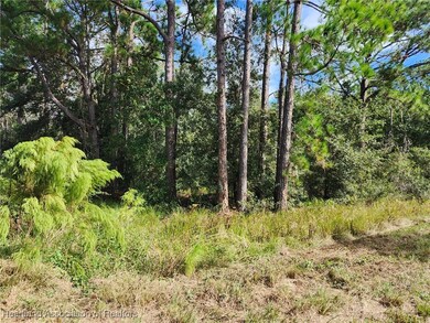 2946 W Twilley Rd, Avon Park, FL 33825 - photo 5