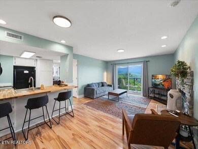 05-3710-Weber-Rd-e204-Gatlinburg-TN-5
