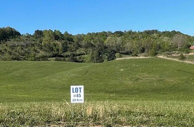 9999 Shiner Hill Phase II Lot #45, Williamsburg, KY 40769 - photo 3