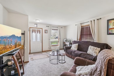 209 Buechner Dr, Mount Horeb, WI 53572 - photo 3