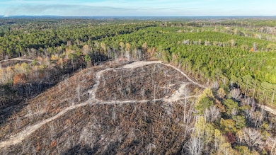 0 Big Rock Rd, Jacksons Gap, AL 36861 - photo 2