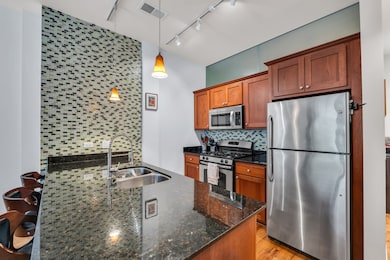 Lakeside Lofts unit 209II, Chicago, IL 60616 - photo 4