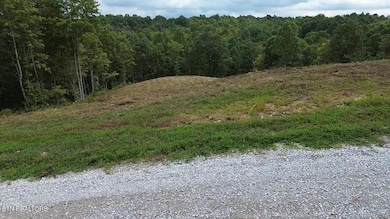 0 Higby Pvt Rd, Robbins, TN 37852 - photo 7