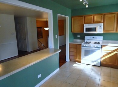 19040 Willow Ave, Country Club Hills, IL 60478 - photo 5