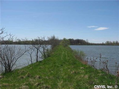 Waterfront/Dock/Pier trail between ponds