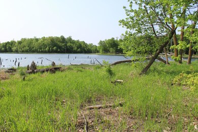 Lot 1 Honeysuckle Ln SW, Kensington, MN 56343 - photo 5