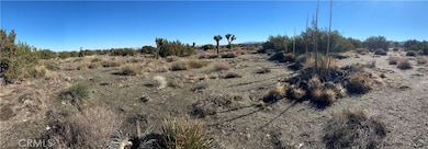 0 Nugget Rd, Phelan, CA 92371 - photo 4