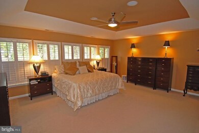 6410 South St, Falls Church, VA 22042 - photo 4