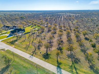 8313 W Landings Rd, Pecan Plantation, TX 76049 - photo 2