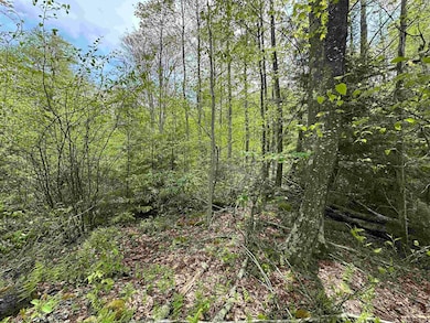 Lot 11 Tuscan Ridge Rd, Davis, WV 26260 - photo 6