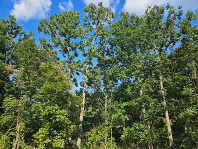 Lot 9 Deerwood Estates, Aurora, MO 65605 - photo 7