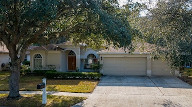 4858 Augusta Ave, Oldsmar, FL 34677 - photo 5