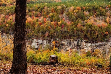 0 Worley Rd unit RTC2810073, Soddy-Daisy, TN 37379 - photo 5