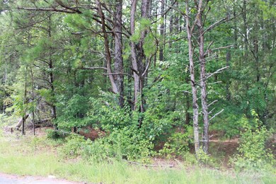 00 Us 74 Bypass Hwy, Spindale, NC 28160 - photo 6