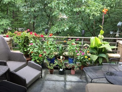 232 Allandale Rd unit 2C, Chestnut Hill, MA 02467 - photo 6