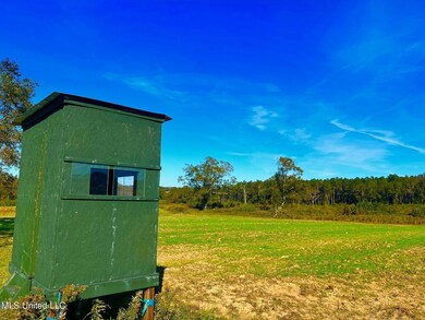 0 Darbun China Grove Rd unit 25665119, Sandy Hook, MS 39478 - photo 2