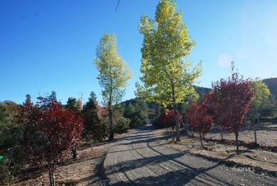 WINDING DRIVEWAY