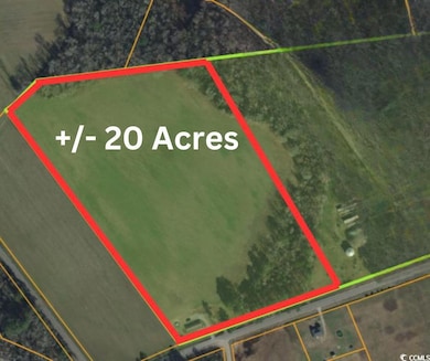 1957 Green Sea Rd unit 20 Acre, Green Sea, SC 29545 - photo 2