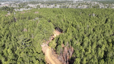 DJI_0505