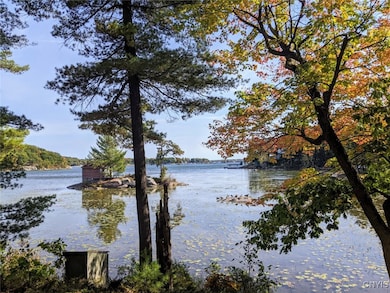 43206 Murray Island, Clayton, NY 13624 - photo 5