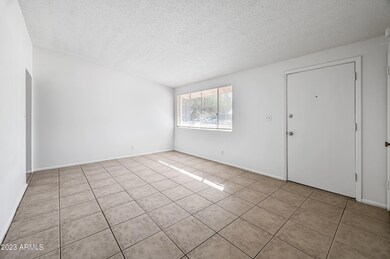 441 N Williams unit C, Mesa, AZ 85203 - photo 4