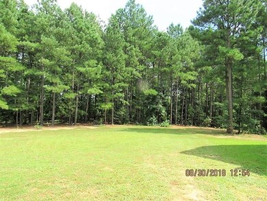 Large Yard - Lots of Privacy