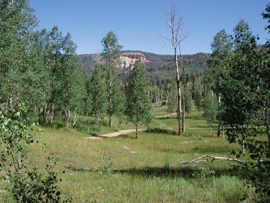 Of The Area