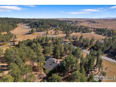 10691 Tomichi Dr, Franktown, CO 80116 - photo 7