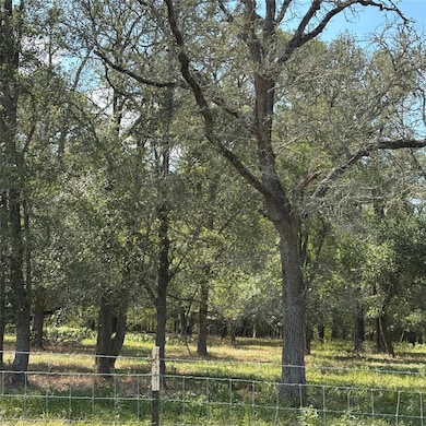 2477 W Highway 159, La Grange, TX 78945 - photo 2