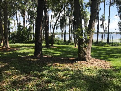 Mature trees - None of them are protected if you w