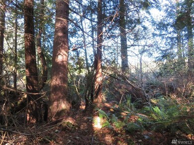 0 Wayne Rd W unit 1543223, Seabeck, WA 98380 - photo 7