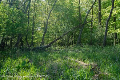 KJP_9069copy