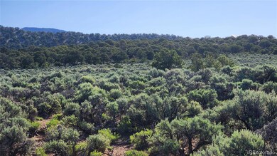 1691 Luke Rd, Fort Garland, CO 81133 - photo 6