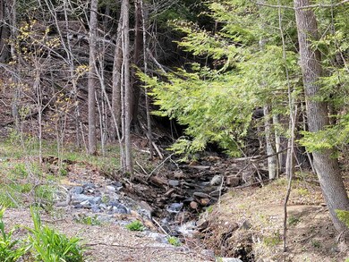 0 Nh Route 123a, Acworth, NH 03601 - photo 7