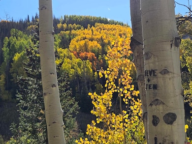 0 Forest Rd unit 816984, Del Norte, CO 81132 - photo 3