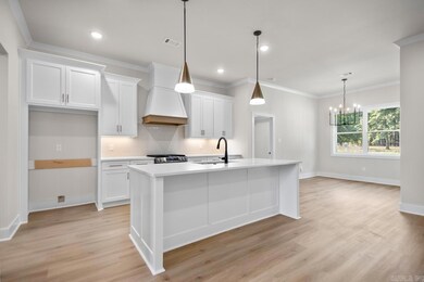 3901 Spencer Crossing Dr, Benton, AR 72019 - photo 5