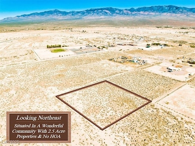 1911 W River Run St, Pahrump, NV 89060 - photo 5