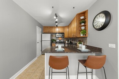 6008 E Lake Dr unit 1A, Lisle, IL 60532 - photo 6