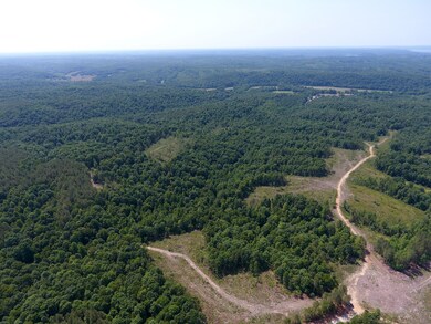 0 Mathis Cemetery Rd unit RTC2414563, Stewart, TN 37175 - photo 4