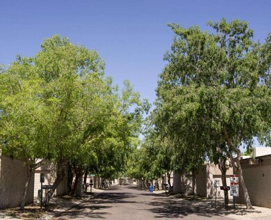 street