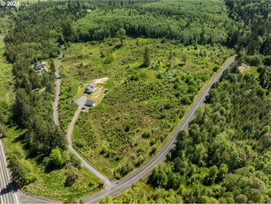 109 Dowling Rd unit 10, Toledo, WA 98591 - photo 4