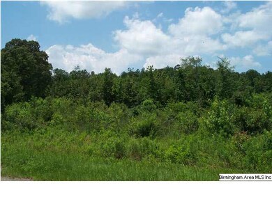 0 County Road 66 unit 2, Wedowee, AL 36278 - photo 3