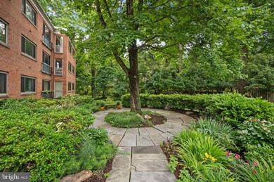 2711 Ordway St NW unit 311, Washington, DC 20008 - photo 5