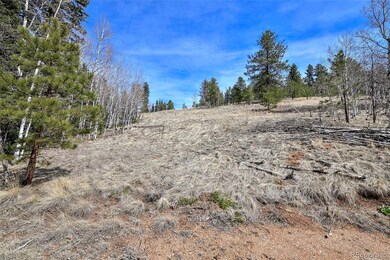 926 W Bison Creek Trail, Divide, CO 80814 - photo 2