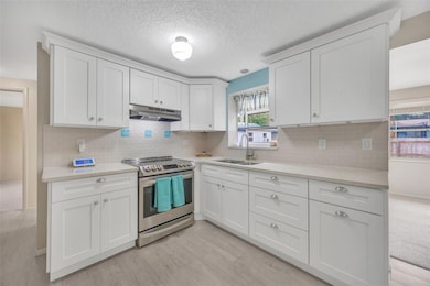 3802 Cullen St, New Port Richey, FL 34652 - photo 2