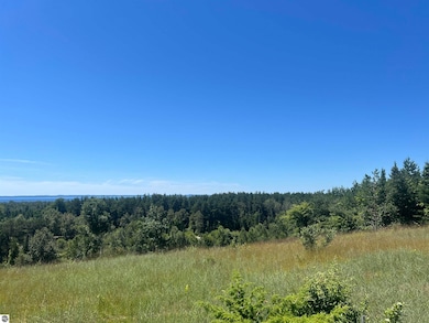 000 Fox Mission Trail unit 10, Ellsworth, MI 49729 - photo 3