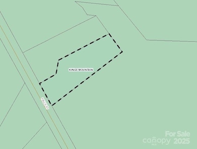 105 Falls St unit Lot 2, Kings Mountain, NC 28086 - photo 2